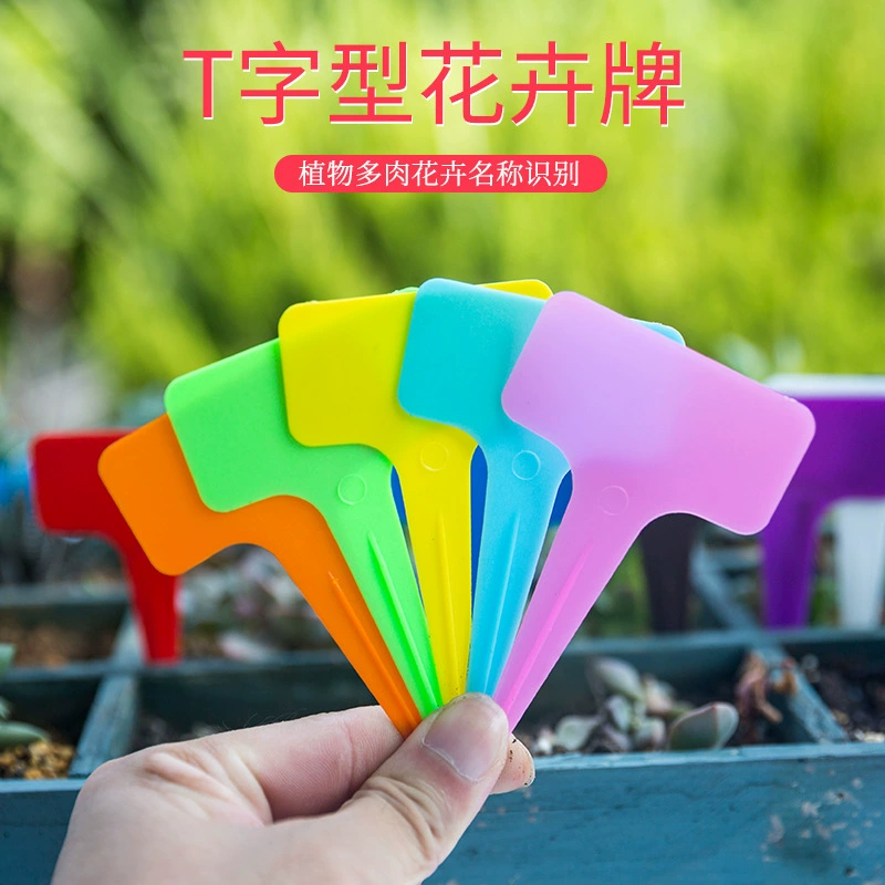 Т-образная вставка пластины Садоводство мясистые растения этикетки пластины Садоводство цветок этикетки пластины водонепроницаемый цвет утолщенные пластины вставки