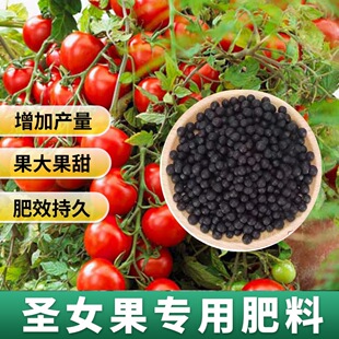 ���t�������}Ů���ʷ��ѷ��ϾGɫ�����ЙC����ɫ����N���w�S��