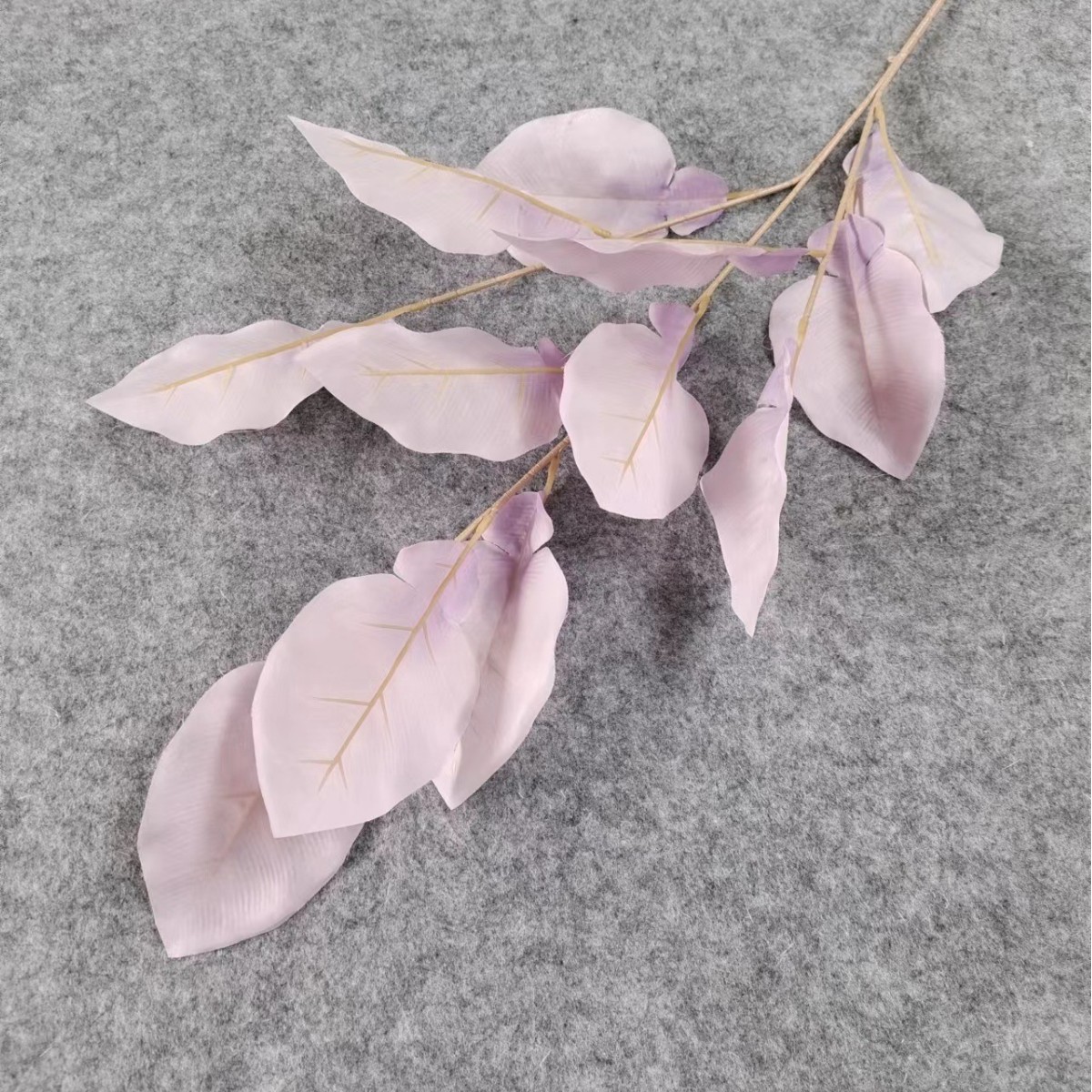 자몽 잎