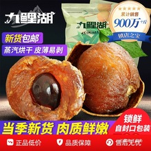 桂圆 新货桂圆干福建特产龙眼干泡水喝干货桂圆肉新果非无核
