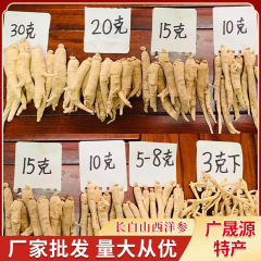東北特産長白山アメリカ人参ストリップ薬用材料アメリカ人参セクション高麗人参産地卸売アメリカ人参セクション