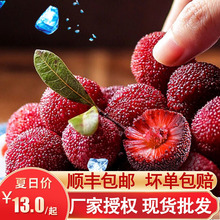 【顺丰发货】京德福冰镇杨梅500g/装冷冻速冻闽臻大杨梅休闲零食