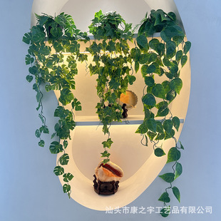 �羳����G�}�������~�������������ԁ��R�d����ĥɰ�Gֲ�b��辰