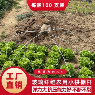 玻璃纤维杆100根小拱棚支架农用小拱棚蔬菜保温棚种地小拱棚架