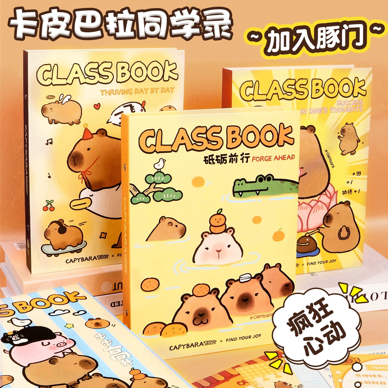 Одноклассники Капибалы Дельфин Двери записали учеников шестого класса 2024 новая высокая ценность для девочек