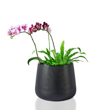 �羳���ℓ�����ϻ������״�̖�Nֲ�����l�Ӻ�A�Θ�֬���⻨��