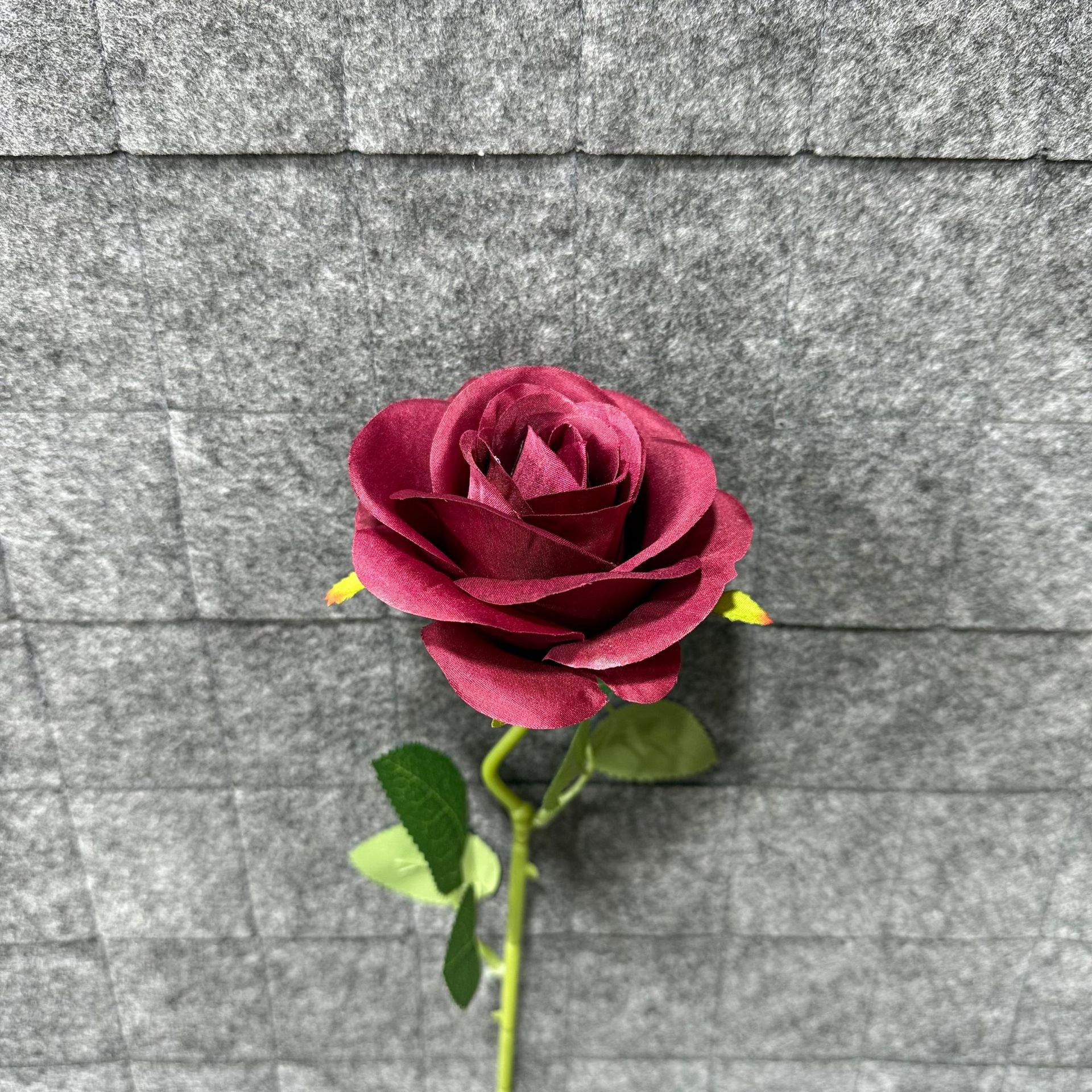 와인 레드