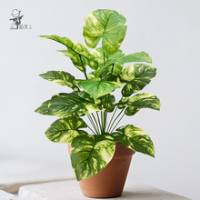 工厂直销工艺品人造仿真绿植花绿滴水观音假树叶家居客厅摆放盆栽