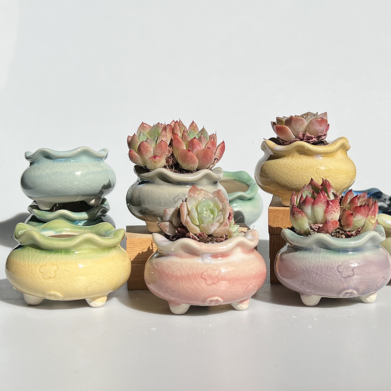 新商品の植木鉢の氷が裂けて虹色が清新で可愛いです。|undefined