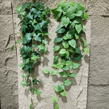 80cm ����Gֲ�ٗl�ڒ�G�}�ڒ� �ع��~���� ��ɽ���� �Gɫ�~�ٗl