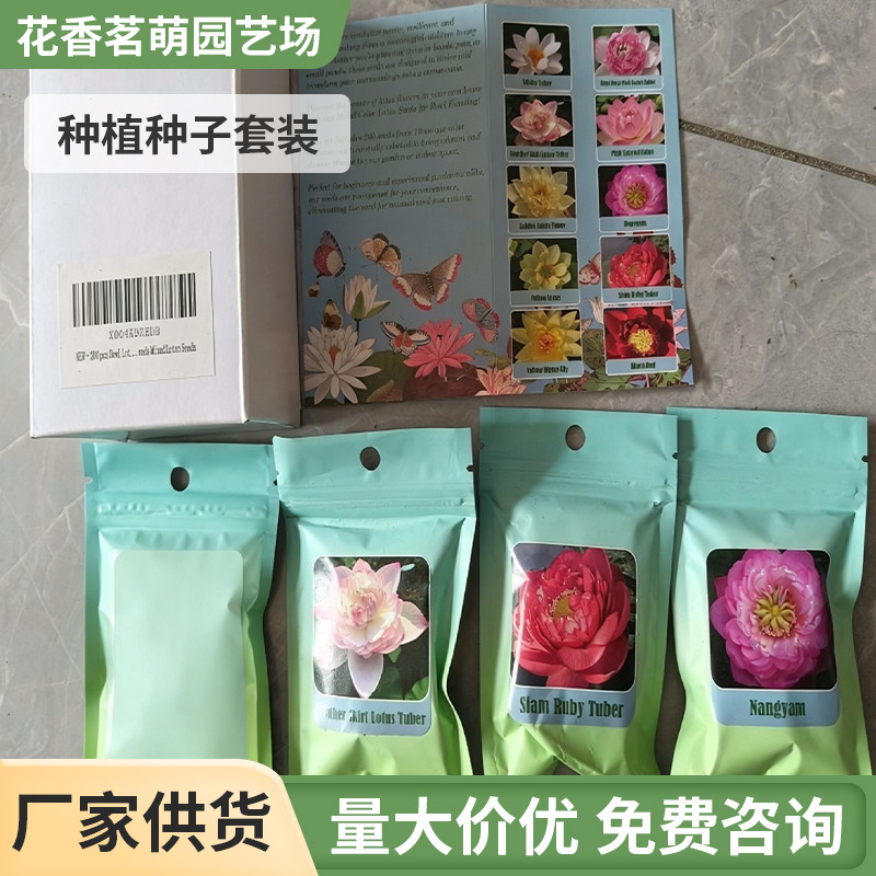 代加工种子套餐 学校种植体验 兴趣组合海外超市上架跨境出口种子