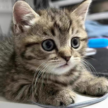 ���A��@؈؈����w��؈����؈��؈�ٰ�؈��؈��؈��؈��؈��ţ؈