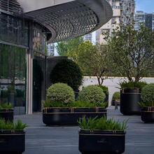 �Fˇ���ƻ��䲻�P䓏V������ͥԺ������\�廨����[��������