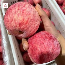 洛川蘋果陝西新果延安紅富士冰糖心產地直銷蘋果新鮮水果
