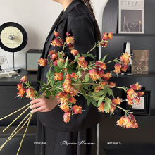 L֦Rľ޻滨ٻҾӔ[ş\[Yb