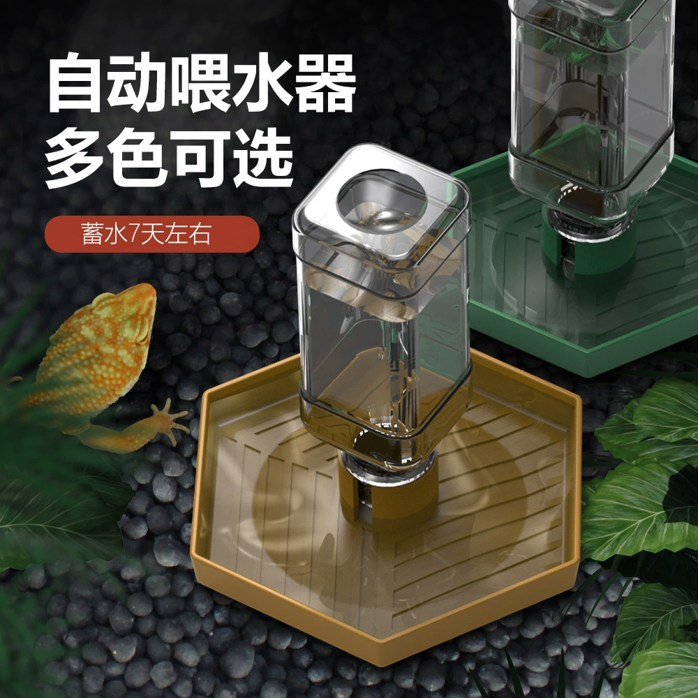 Половина черепах, полужутая черепаха, ящерица желтого края рептилии, таз с водой, чтобы избежать автоматического питьевого фонтанчика