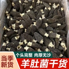 乾燥羊腹菌スープキノコ卸売り乾燥品雲南羊腹菌乾燥新商品卸売りオーダーメイド
