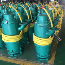 BQS50-30-7.5/N�V�ø����͝�ˮ��ɳ늱� ���bʽ��ˮ��ɳ늱�