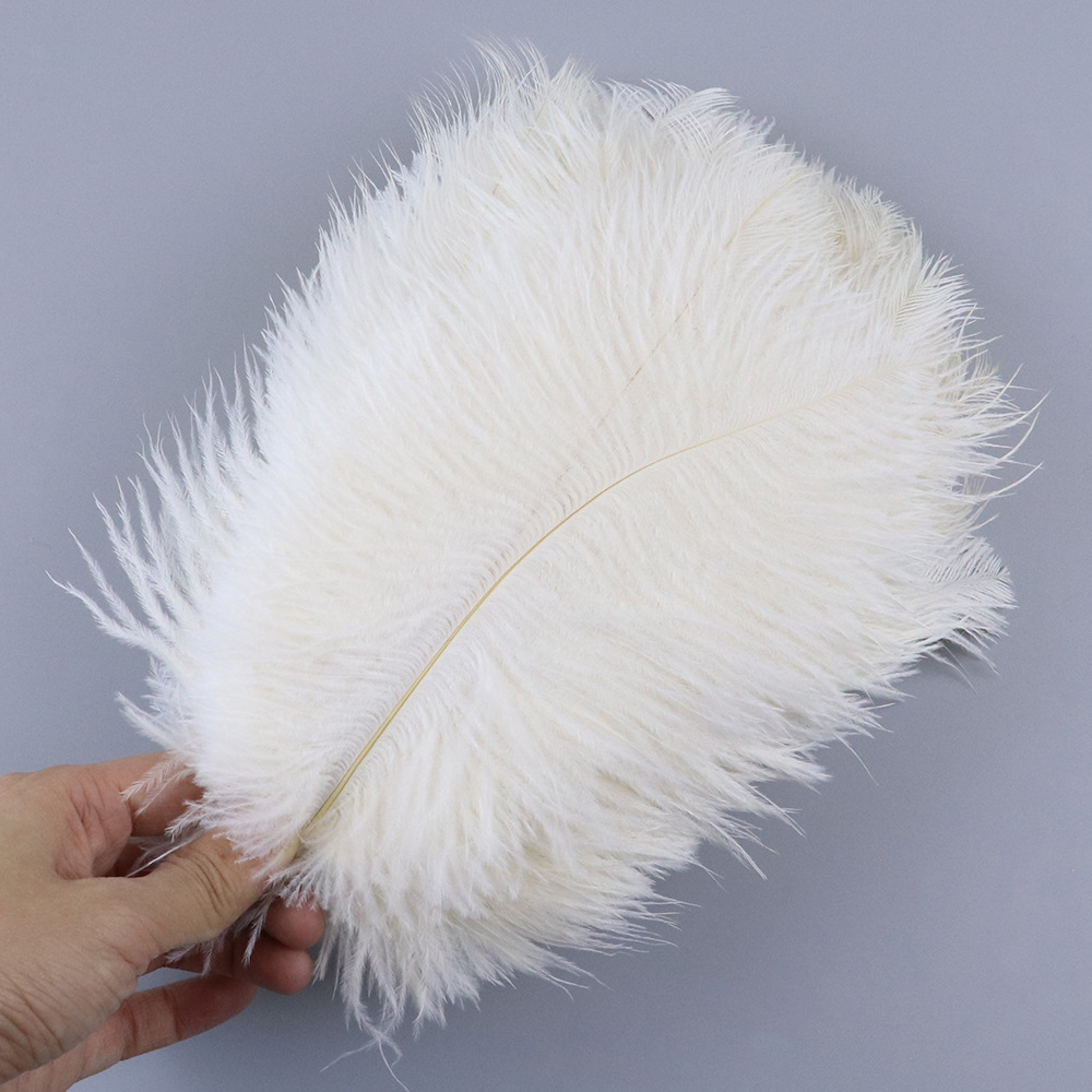 흰색 20-25cm, 10개