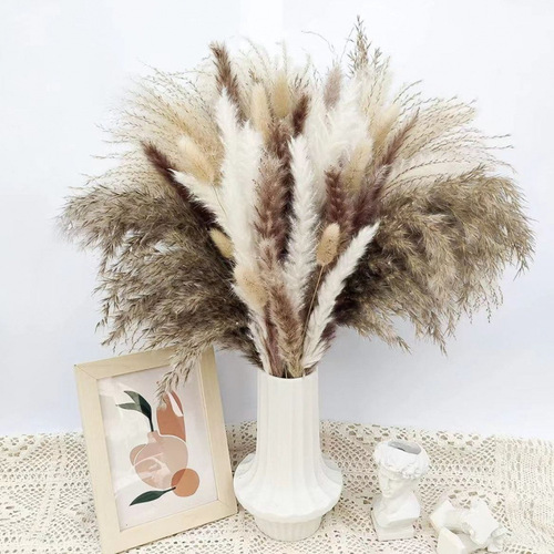 Hot-selling reed set: pampas grass, small reeds, dried flowers, rabbit's tail grass, small dusters, decorative ornaments, living room flower bouquet arrangements.