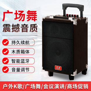 Handheld microphone, portable travel suitcase, speakers, 8 inch, bluetooth, high power