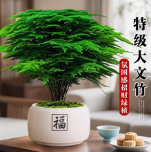 ���������������辰�k���ҾGֲ�҃ȿ͏d��ʽ�U���ļ�ֲ����ؔ��լ