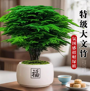 ���������������辰�k���ҾGֲ�҃ȿ͏d��ʽ�U���ļ�ֲ����ؔ��լ