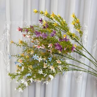 ��֦���˲ݷ��滨 �Ҿӿ͏d�����[�� ��c��Y�����b���СҰ��