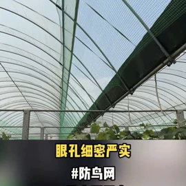 遮阳网;防雹网;其他安全网