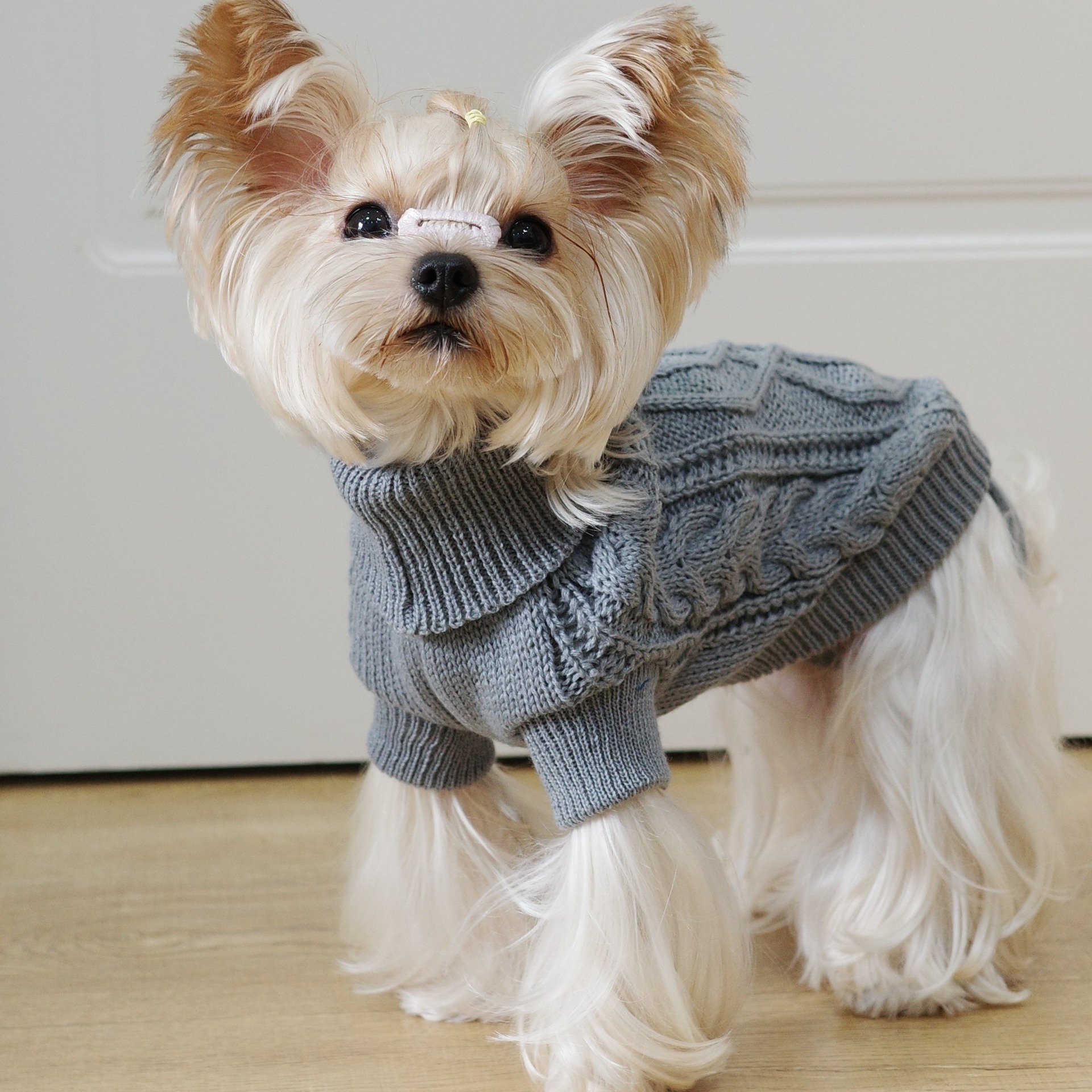 犬のセーター秋と冬ニットツイスト暖かいペット服小型犬テディビションヨークシャー服