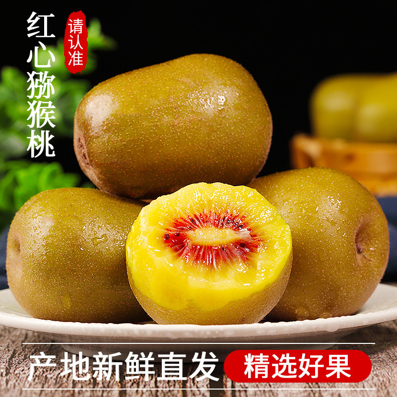 [2024 신과일丨무료과일숟가락丨수집구매 우선배송]-[중과일] 24개丨단일과일 70~90g, 품질추천!