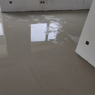 Self-leveling cement home Shanghai construction leveling treatment flow epoxy mortar pothole repair floor paint