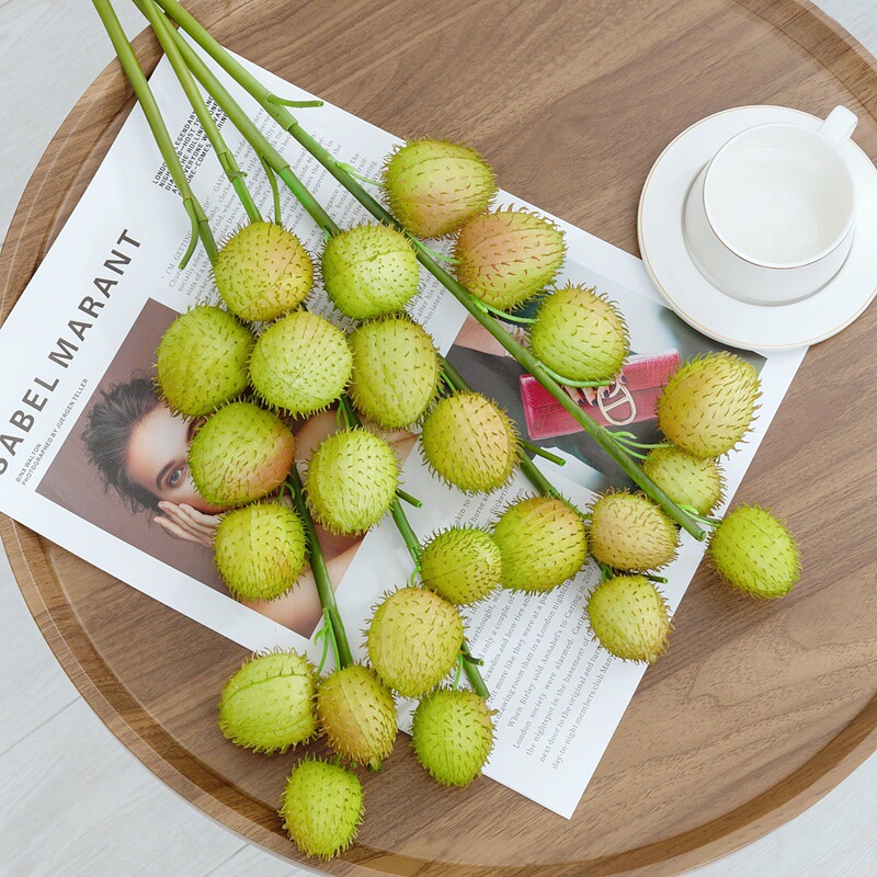 Artificial Plants, Fake Green Plants, Landscaping, Cotton Fruit Thorn Balls, Fake Flowers, Puffer Fruit, Balloon Fruit, Flower Arrangements, Home Decoration Ornaments