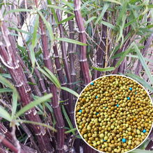 mʯ÷ϻɽƤʯrÿጷʏͺϷFƤʯWG