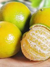 2025正宗皇帝柑新鲜水果当季整箱包邮橘子桔子应季贡柑9 斤装包邮