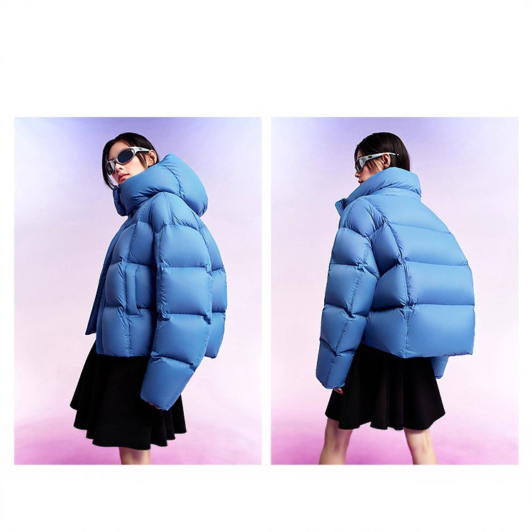 2026 New Winter down Jacket for Women, Short Puff Style, Water-Repellent, Soft, Thickened, White Duck Down, Warm down Jacket, Trendy