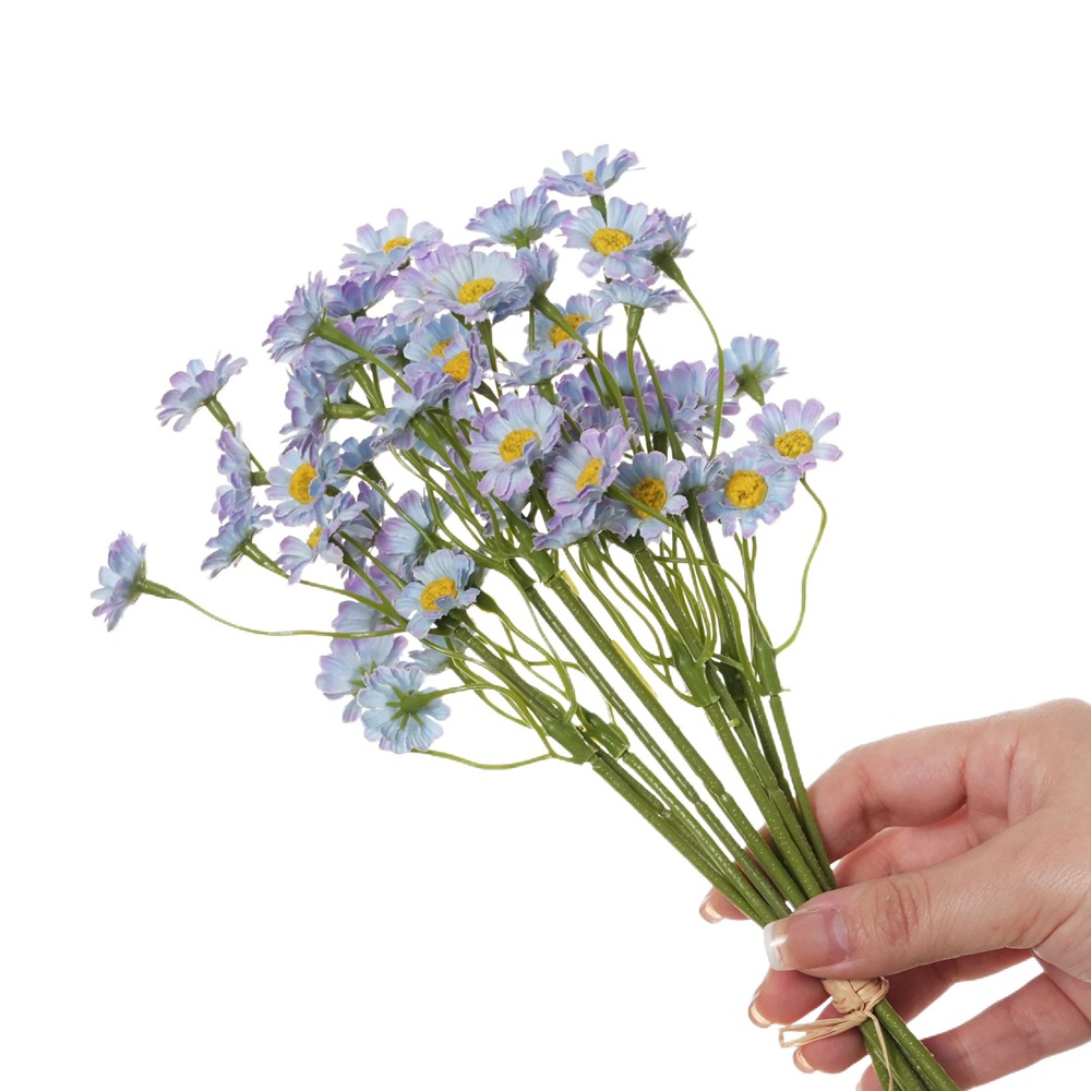 보라