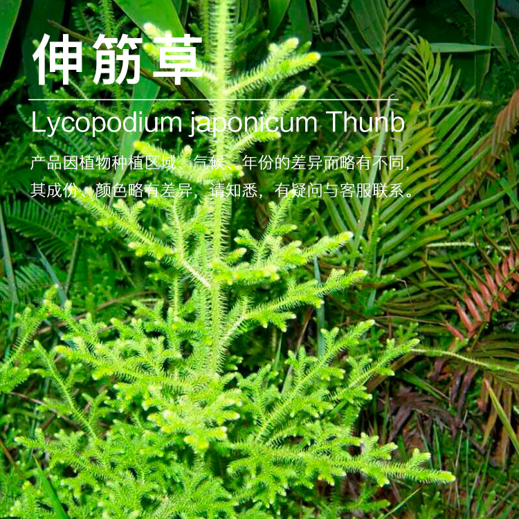 �򻨹�Ӧ���ݾ��� ������ȡ������ �ݱ�ֲ�ﾫ��������ӭ�ɹ�