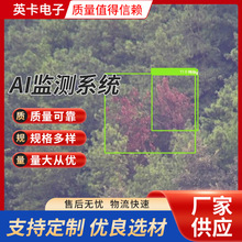 重慶 無人機視頻AI松材線蟲監測系統 生產廠家