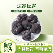 云南冷冻黑松露云南特产厂家现货食用菌黑松露野生菌火锅煲汤熬粥