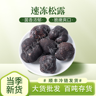 ����������¶�خa�S�ҬF؛ʳ�þ�Ұ��������Ҝ��������