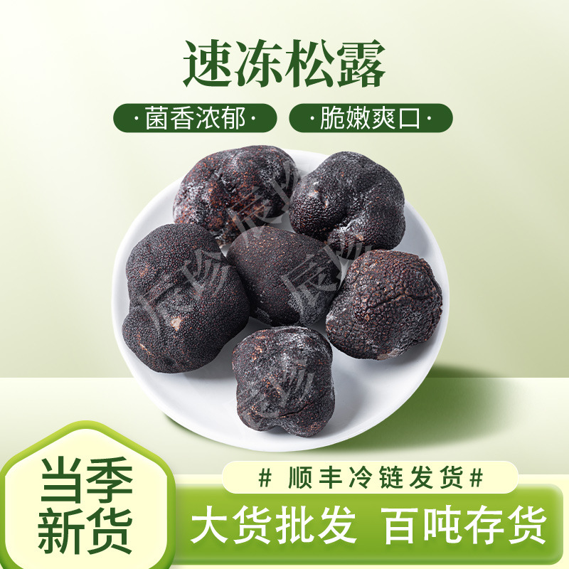 云南冷冻黑松露云南特产厂家现货食用菌黑松露野生菌火锅煲汤熬粥