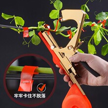 �¿����ѽ�֦�C�����t���ٽ�֦�����S�Ͻ�������z������֦�����C