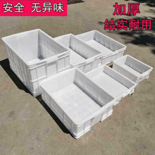 加厚白色塑料箱面团周转箱带盖食品箱糕点面包转运箱养龟箱