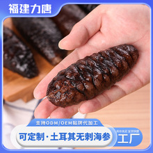 土耳其进口即食海参非黑刺海参冷冻海鲜厂家批发佛跳墙大盆菜原料