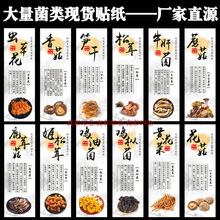 Nu;ט˺xݻǾSĢy޸؛U