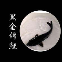 小锦鲤蝴蝶黑金活体观赏鱼淡水风水鱼锦鲤鱼龙凤黑金锦鲤鱼