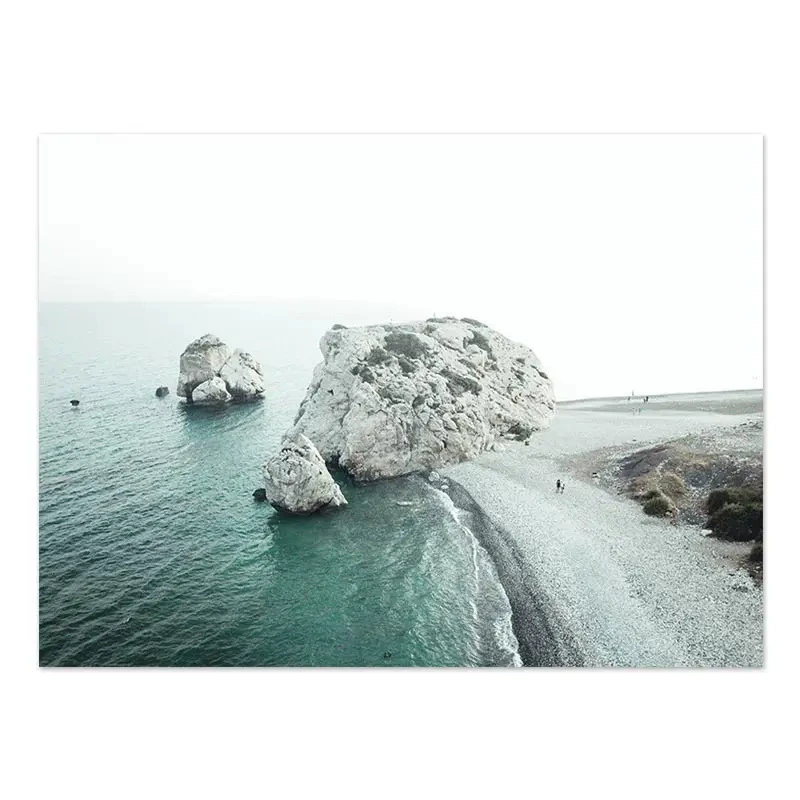 Тропические растения океан кокосовая пальма чайка пляж природный пейзаж морское черепаха гостиная спальня украшение висячая картина