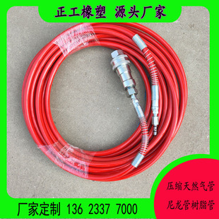 High-Pressure Hose for Cng Gas Dispensers, Compressed Natural Gas Hose, Special Hose for Car Refueling, Red 1inch Quick Connector