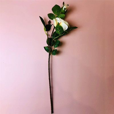 IMG_6731(209201029-003734)_副本